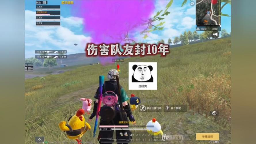 和平精英辅助【北极熊容器直装】稳定防封 人物透视 射线方框 锁死自瞄 名字昵称 人数距离 高清绘制 人机显示