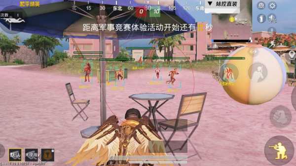 和平精英「小提琴」直装辅助